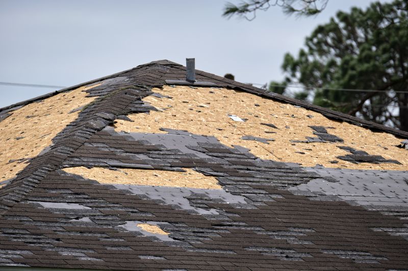 Missing Shingle Replacement